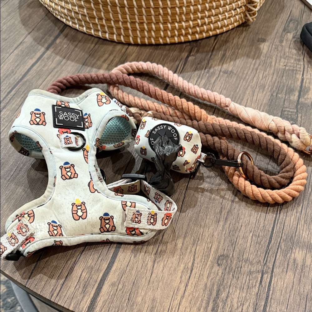 Sassy Woof Dog Harness and Leash Set